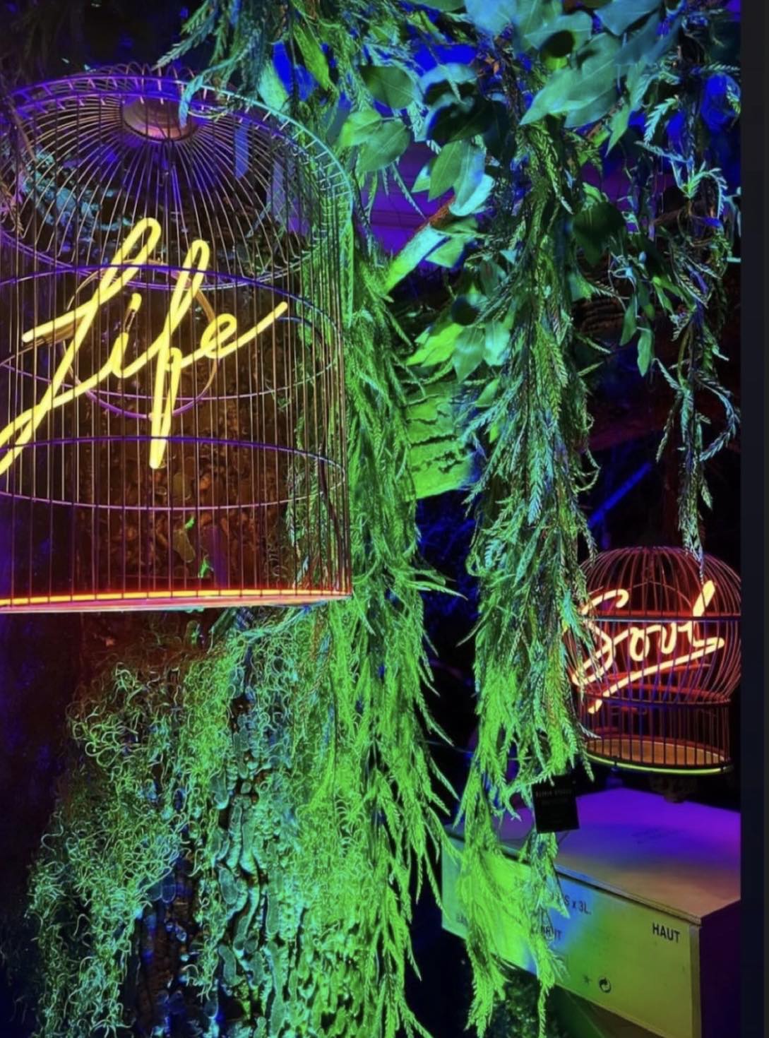 Halcyon-Productions-Lighting-Rental-05